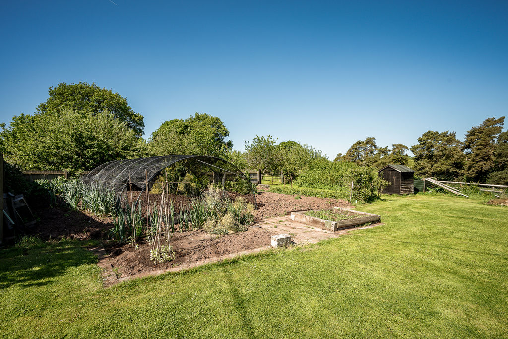 Garden- click for photo gallery